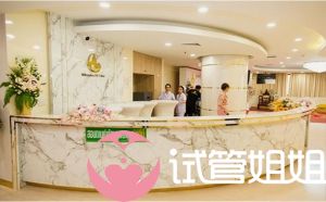 泰国千禧生殖中心 Millennium IVF Center