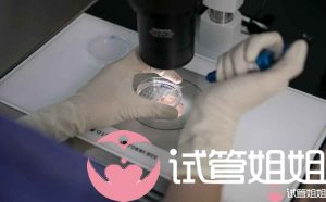 泰国试管婴儿费用多少钱？移植后要打黄体酮吗