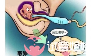 试管取卵疼吗？附泰国试管婴儿取卵注意事项