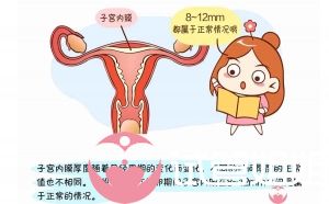 做泰国试管婴儿的子宫内膜正常厚度是多少？
