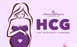 泰国试管婴儿中HCG意味着什么