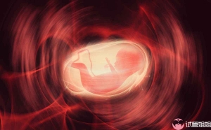 移植一个胚胎好还是两个胚胎好？泰国试管婴儿须知