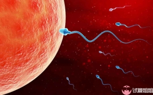 如何提高精子质量-美国试管婴儿须知