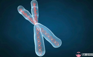 3号染色体3q29微重复综合征是什么病