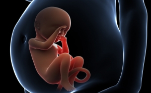 试管婴儿冻胚成功率会更高吗，影响因素有哪些呢？-第三代试管婴儿