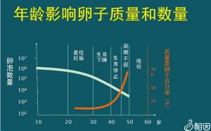 纯分享：巧囊加输卵管通而不畅做三代试管选男孩一次成功啦！