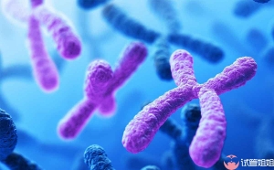 去泰国做三代试管选男孩需要花多少钱才能顺利成功？不看吃亏！