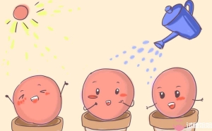 什么情况的人可以做供卵试管？