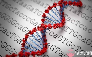 2023年想要个儿子能做广州三代试管选男孩吗？