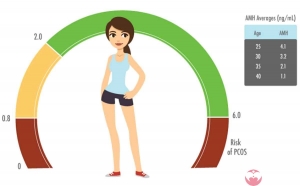 2023年做泰国三代试管包生男孩成功可信吗？