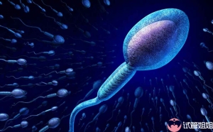 精子碎片率高做广州三代试管选男孩好不好？