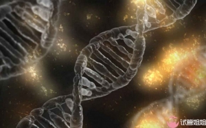 即时咨询广州做三代试管选男孩与普通试管有什么区别？