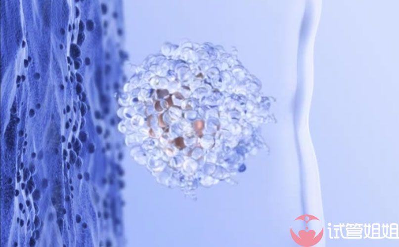 胚胎胶可以帮助胚胎顺利着床