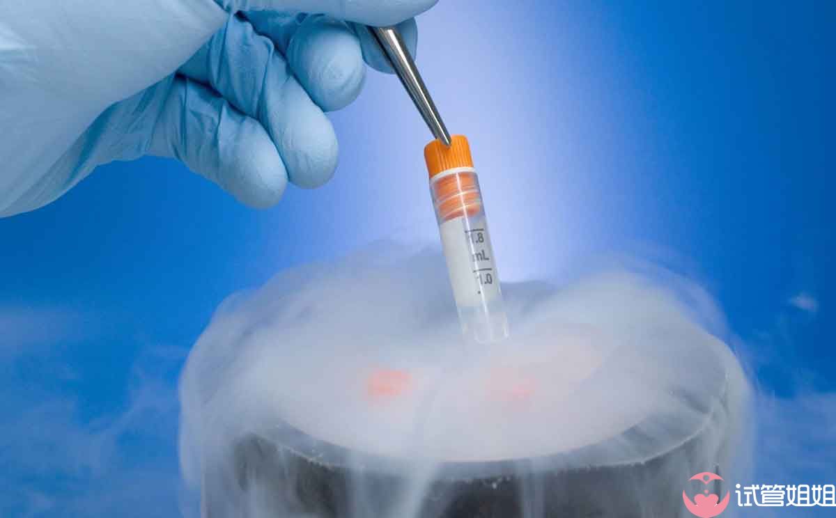 泰国试管婴儿大多移植冻胚
