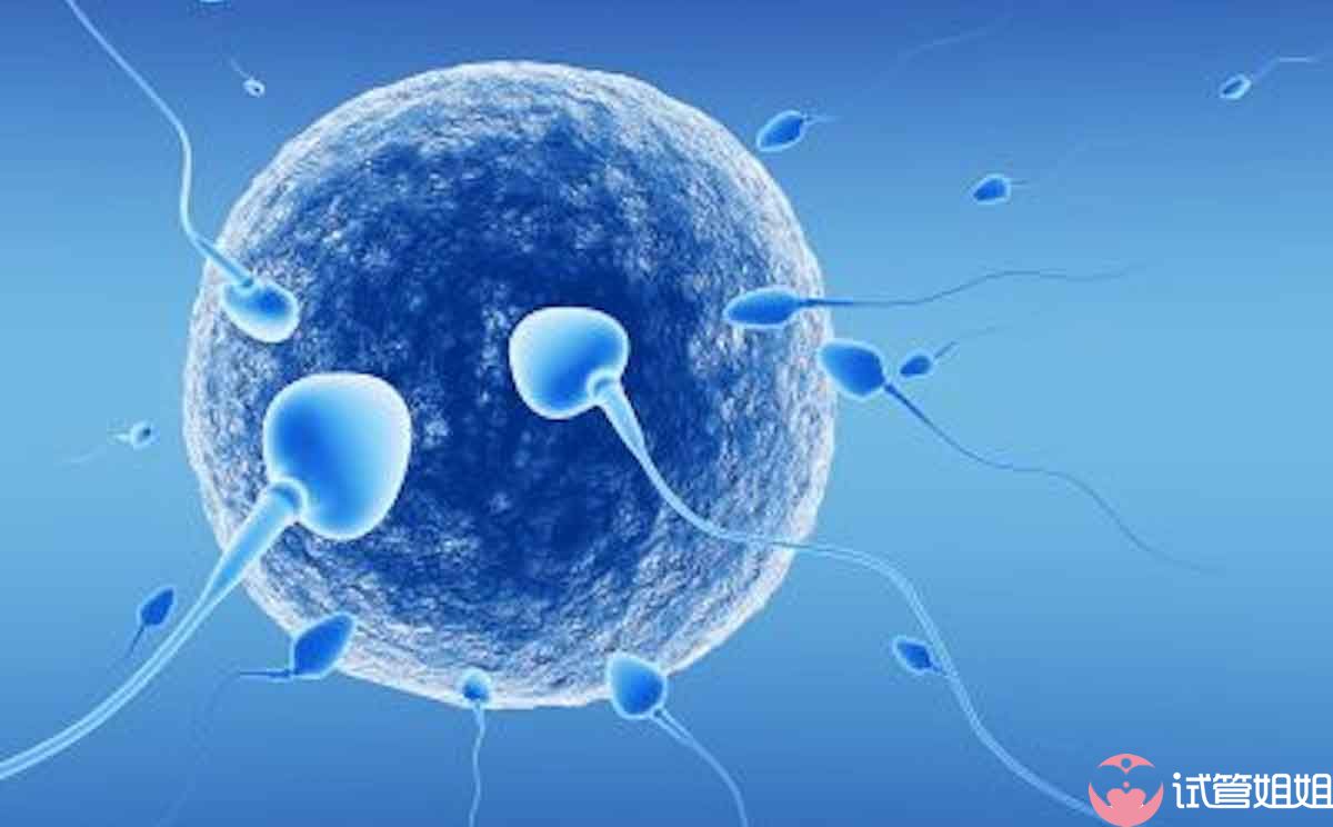 第一代试管婴儿：体外受精-胚胎移植