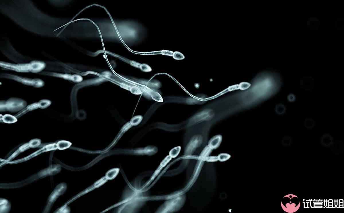 精子畸形能怀孕吗