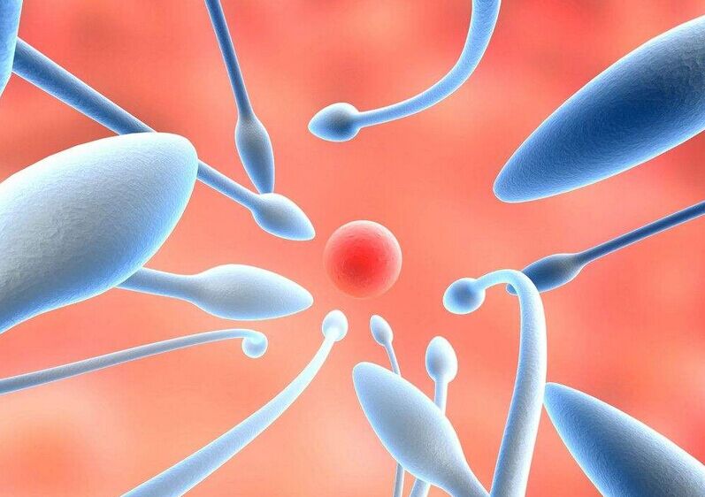 怎么去美国试管