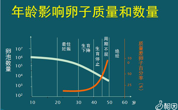 泰国试管婴儿选男孩