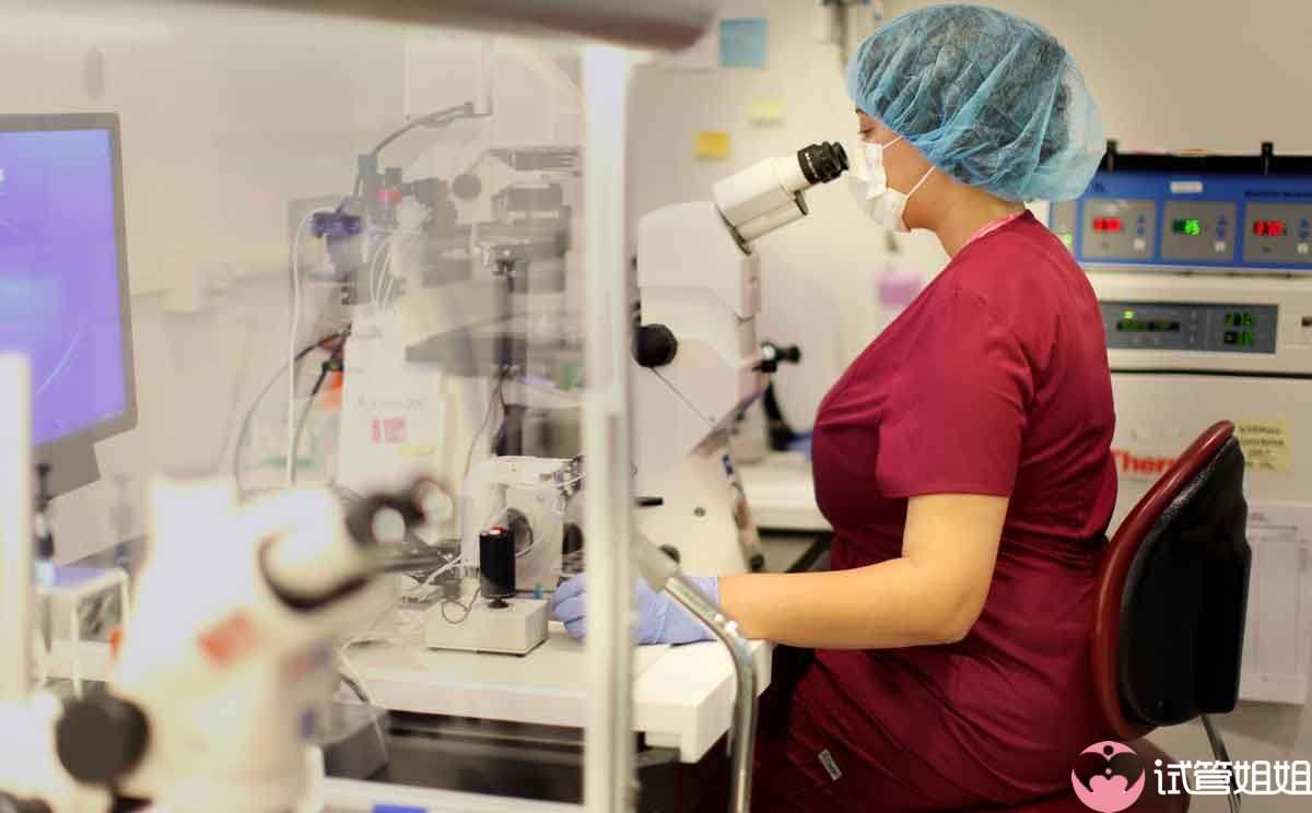 试管婴儿胚胎实验室环境影响成功率