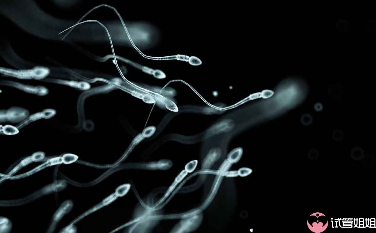 畸形精子一般是指的是精子头、体、尾的形态变异