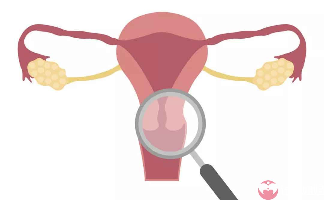 2023年做三代试管选男孩胚胎移植后应该注意什么
