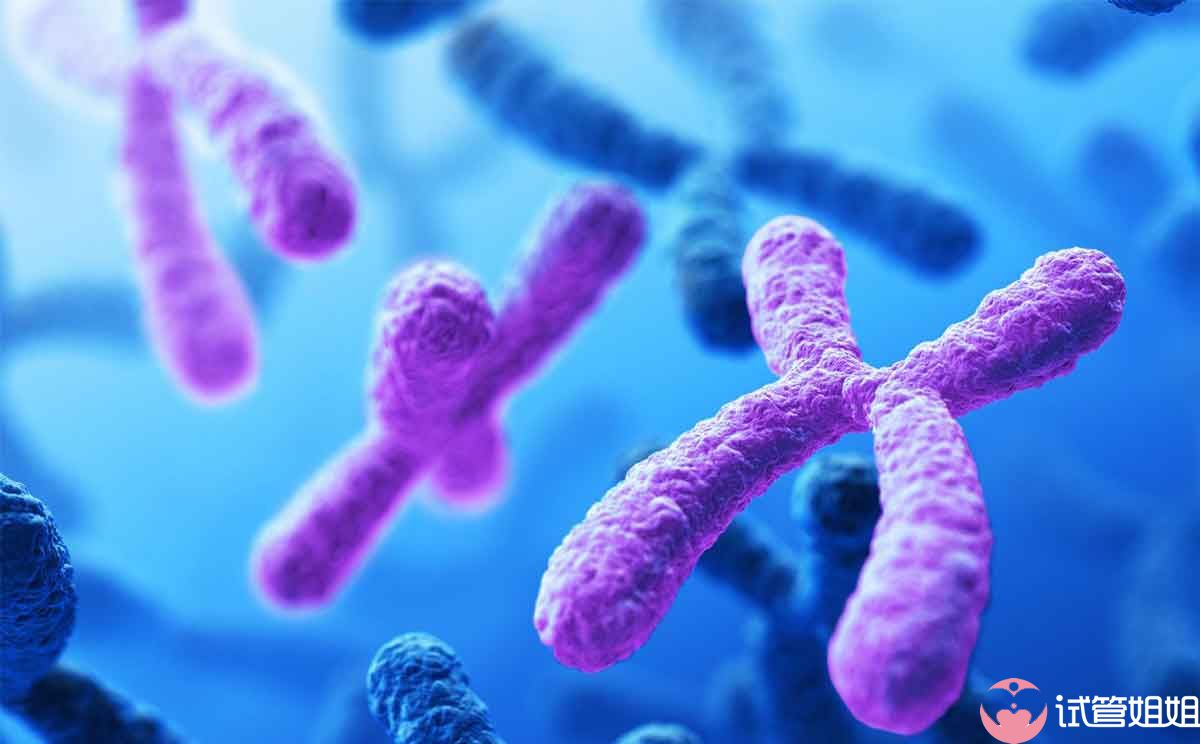 在线咨询高龄做广州三代试管选男孩会失败吗 在线咨询高龄做广州三代试管选男孩会失败吗