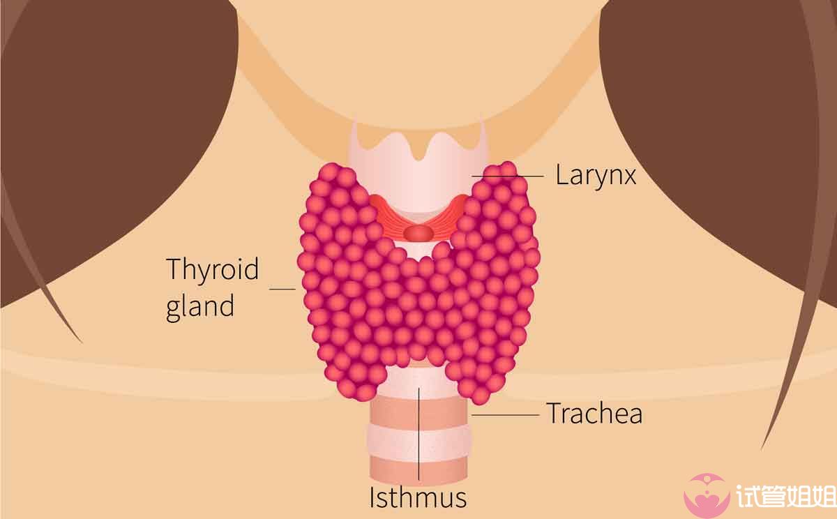 女性身体状态差能不能做广州三代试管选男孩包成功